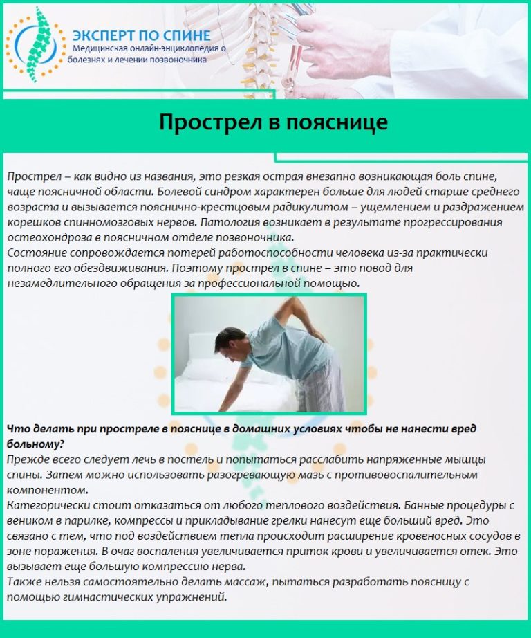 Как сделать игровую для кошки своими руками Как сделать игровую для кошки своими руками