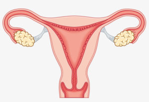 Боль в пояснице во время и после менструации thumbnail