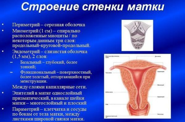 Менструальные боли в позвоночнике thumbnail
