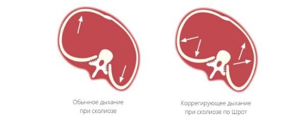 Ассиметричное дыхание по методу Катарины Шрот