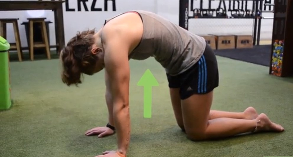 растяжка позвоночника при грыже. упражнения для растяжки позвоночника при грыже. доска евминова для позвоночника. упражнения для растяжки позвоночника при грыже поясничного отдела. растяжка спины при грыже.