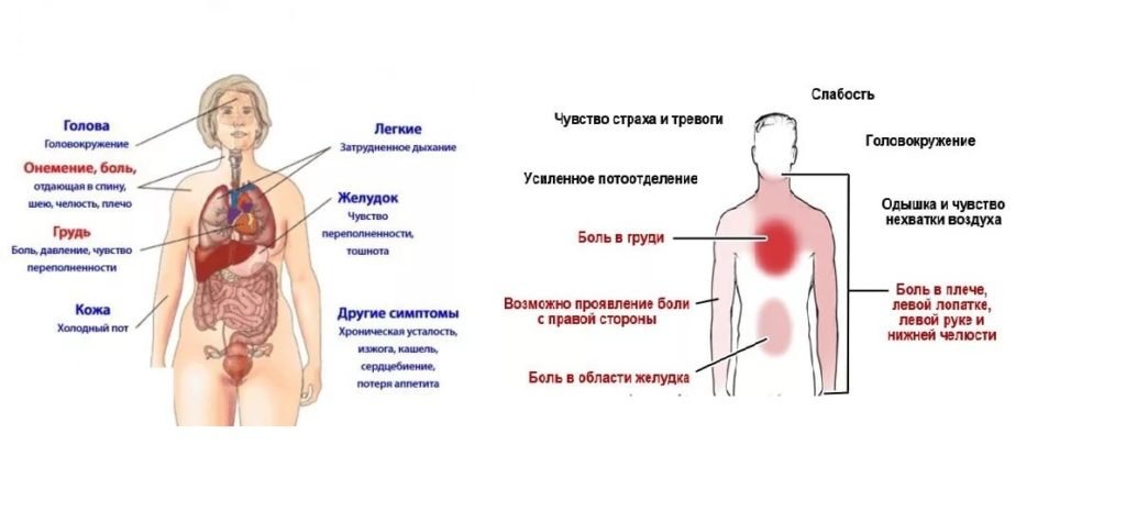 Сердечные боли в желудке