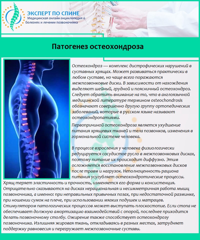 Остеохондроз берут. Диагностика при остеохондрозе поясничного отдела позвоночника. Остеохондроз поясничного отдела позвоночника патогенез. Патогенез остеохондроза позвоночника. Остеохондроз этиология.