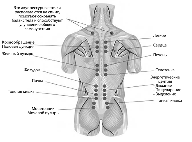 Точки на спине для массажа: подробное описание